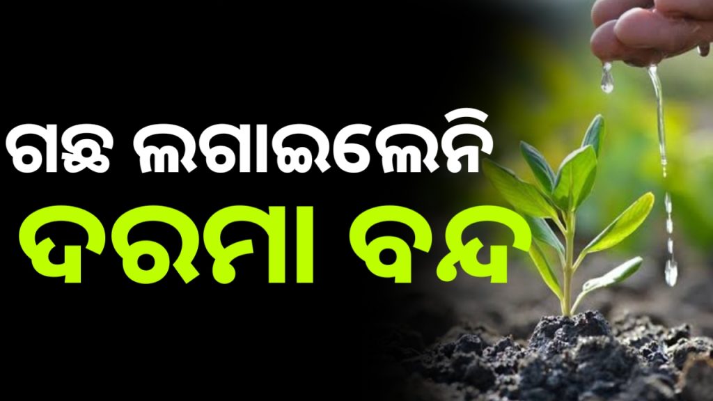 ଗଛ ନ ଲଗାଇବା ଯୋଗୁ ୧୧ ଜଣ BEOଙ୍କ ଦରମା ବନ୍ଦ