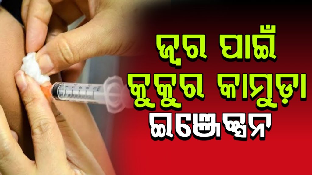 ଜ୍ବର ହୋଇଥିବା ଶିଶୁକୁ କୁକୁର କାମୁଡ଼ା ଇଞ୍ଜେକ୍ସନ