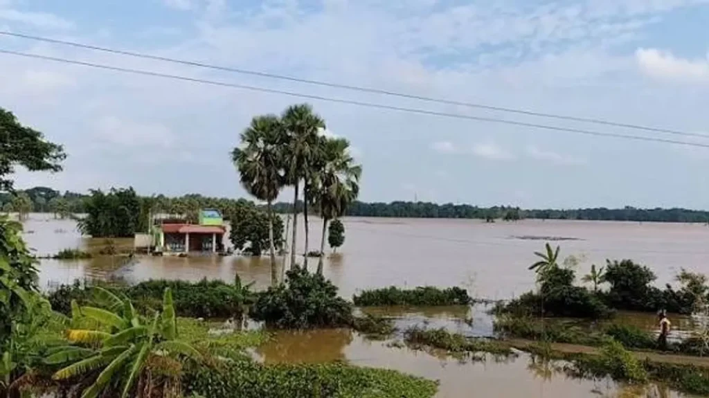 କେନ୍ଦ୍ରାପଡ଼ାରେ ପ୍ରବଳ ବନ୍ୟା , ବୈତରଣୀ-ବ୍ରାହ୍ମଣୀ ସମେତ ୪ ନଦୀରେ ବଢ଼ିଲା ଜଳ ::